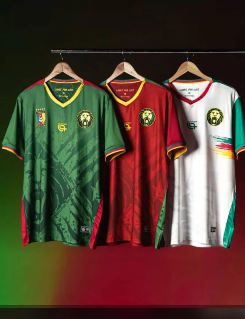 Image 1 de Nouveau maillot des lions 🦁 Pro
