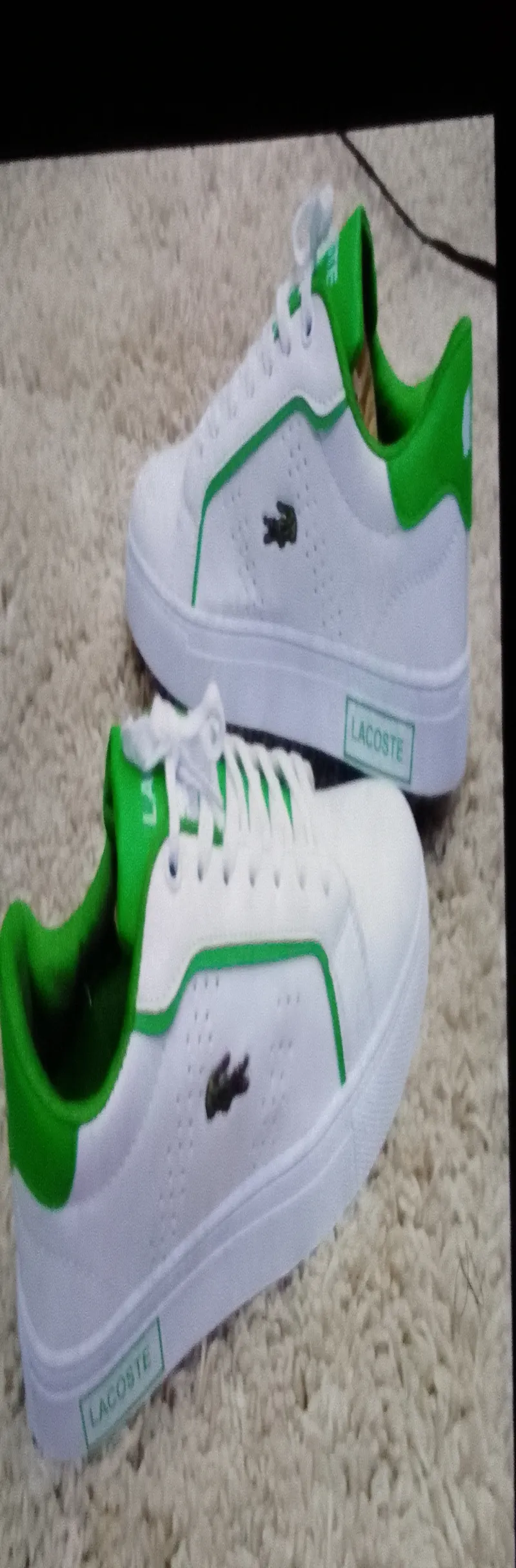 Lacoste 