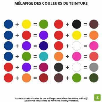 Image 2 de Formation en teinture textiles artisanale.