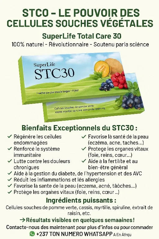 Image 4 de Stc30  cellules souches 