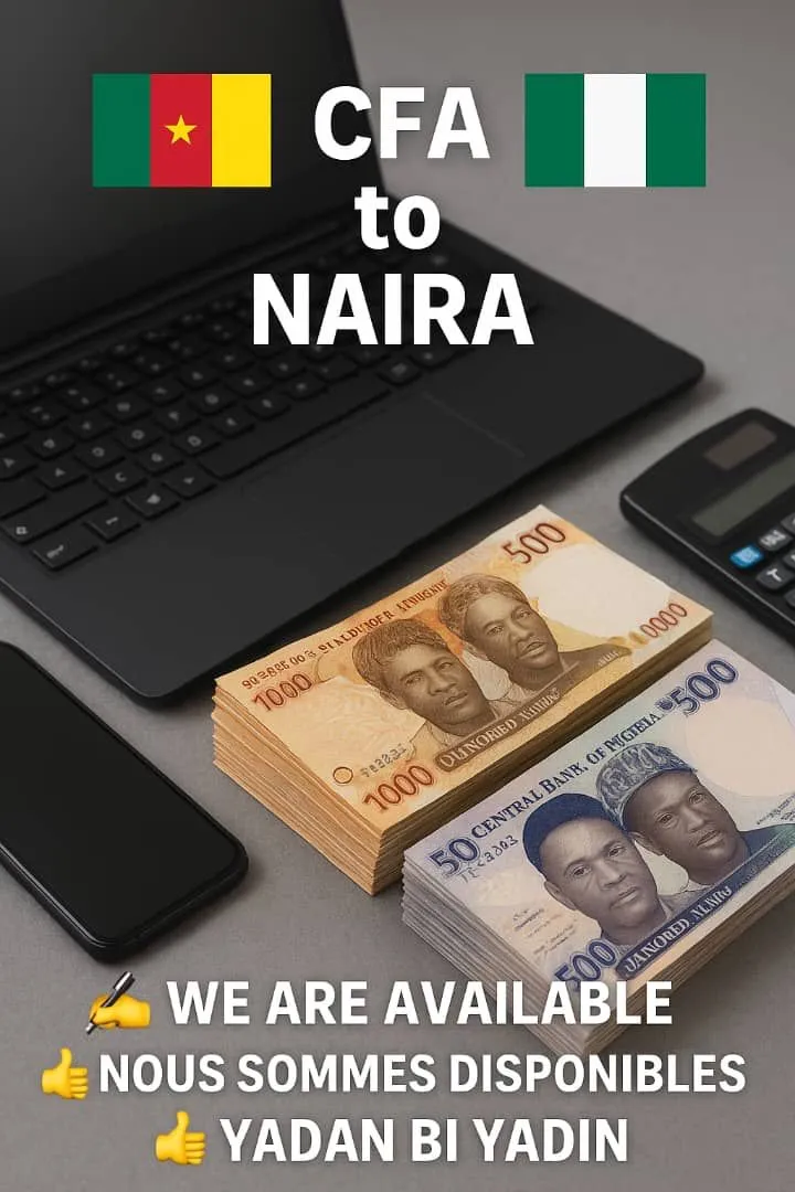 Image 1 de Échange international Fcfa contre Naira vise versa