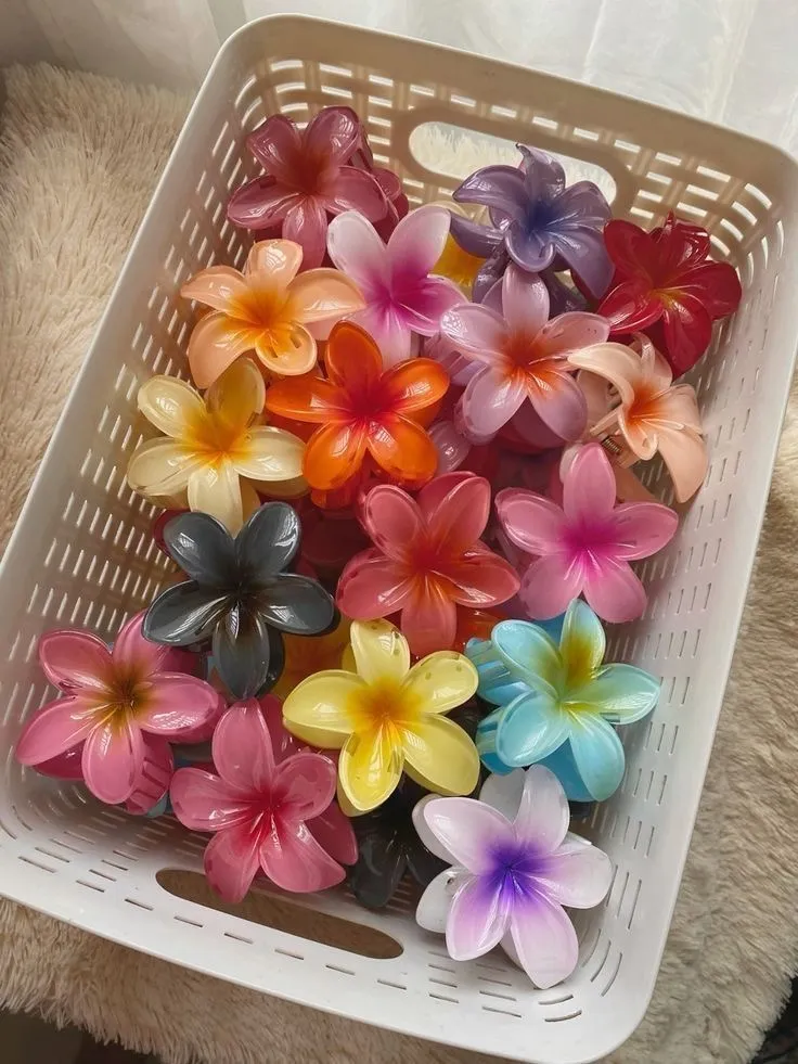 Barrette à cheveux 