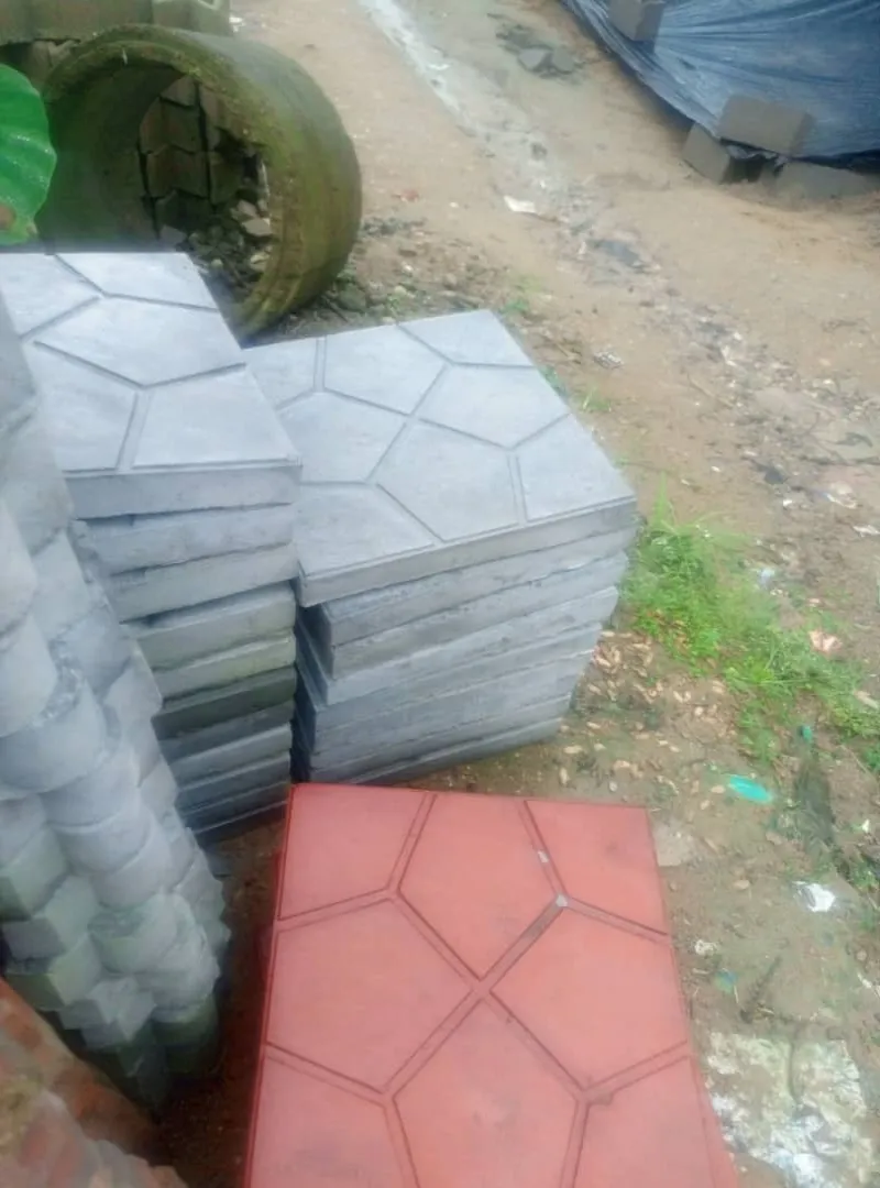 Image 3 de service de construction et vente paves