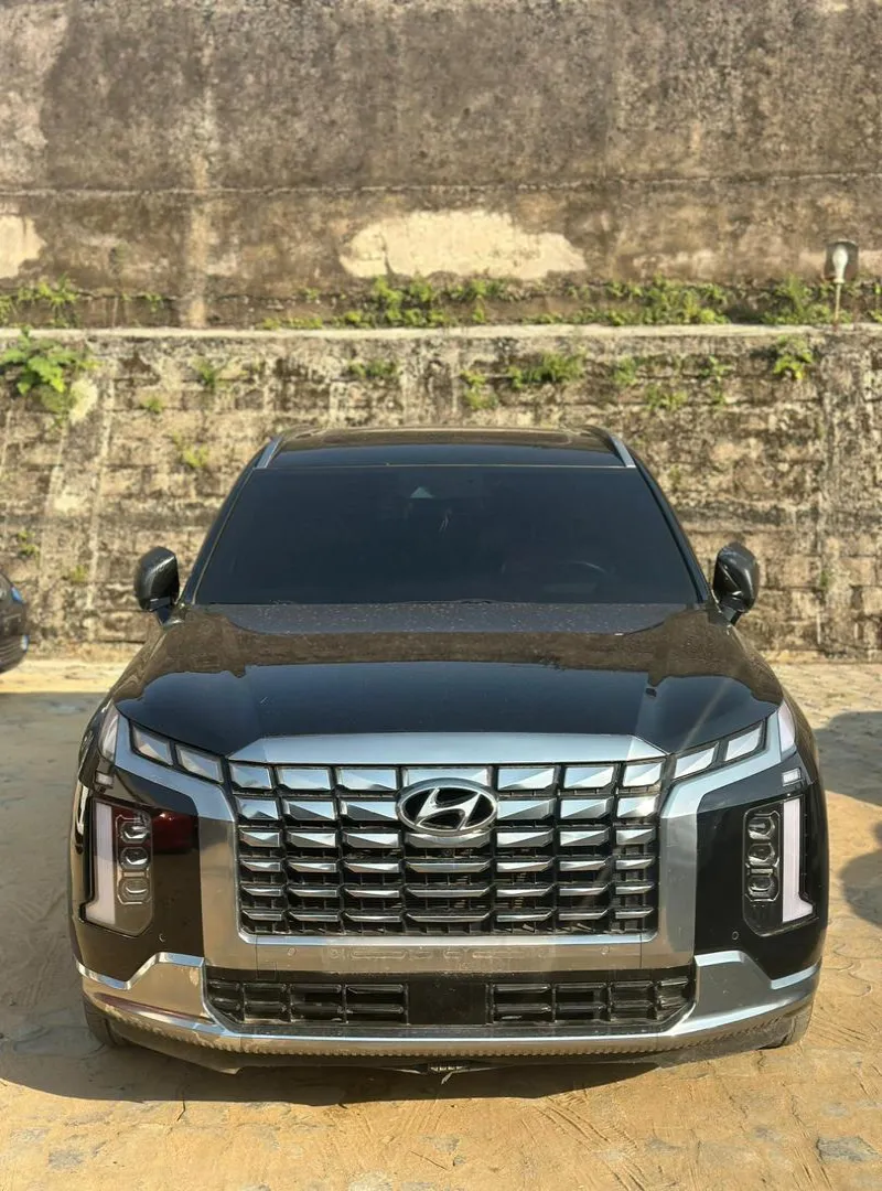 Image 1 de HYUNDAI PALISSADE ANNÉE 2020 OCCASION D'EUROPE À VENDRE À DOUALA 